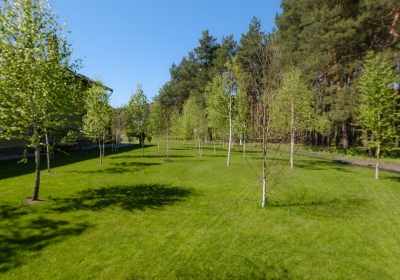 Будинок на березі озера, свій пляж, ліс, риболовля | Anna Realty