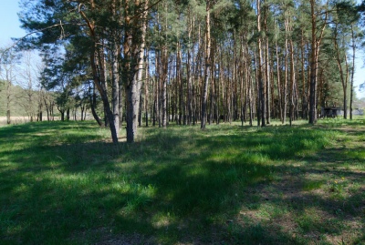 Будинок на березі озера, свій пляж, ліс, риболовля | Anna Realty