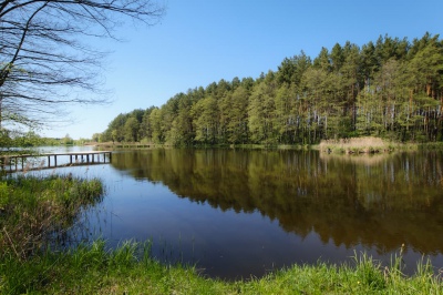 Будинок на березі озера, свій пляж, ліс, риболовля | Anna Realty